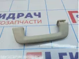 Ручка внутренняя потолочная Land Rover Freelander II (L359)