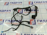 Проводка двери задней левой Land Rover Freelander 2 LR008045