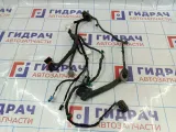 Проводка двери передней левой Land Rover Freelander 2 LR008038