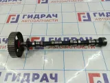Распредвал выпускной Land Rover Freelander 2 LR021914