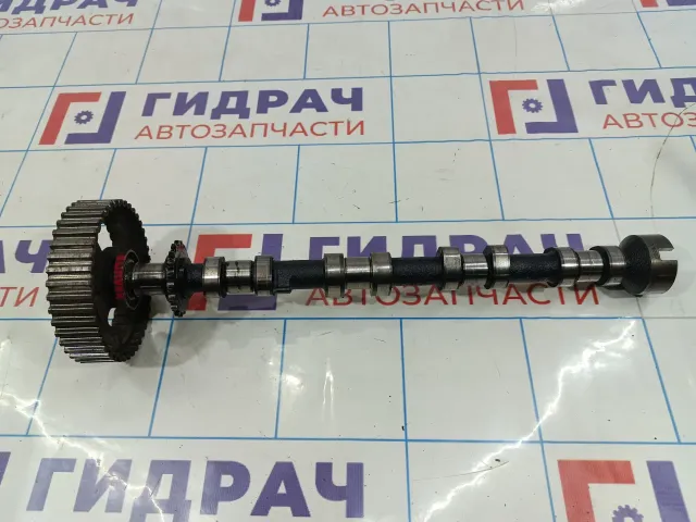 Распредвал выпускной Land Rover Freelander 2 LR021914