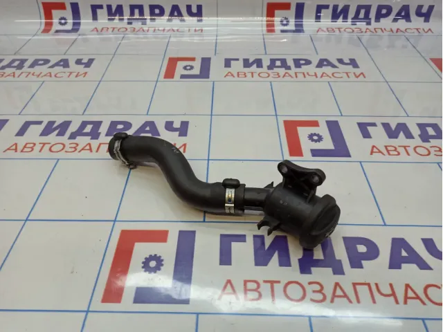 Горловина маслозаливная Land Rover Freelander 2 LR006661