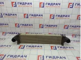 Интеркулер Land Rover Freelander 2 LR009802
