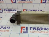 Интеркулер Land Rover Freelander 2 LR009802