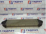 Интеркулер Land Rover Freelander 2 LR009802