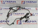 Проводка двери передней левой Land Rover Freelander 2 LR012142