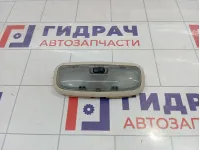 Плафон салонный Land Rover Freelander 2 LR006480