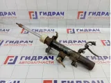Амортизатор задний правый Land Rover Freelander 2 LR005574