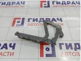 Петля капота левая Land Rover Freelander 2 LR001565