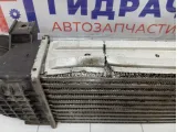 Интеркулер Land Rover Freelander 2 LR009802