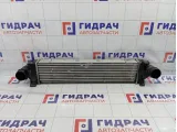 Интеркулер Land Rover Freelander 2 LR009802