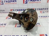 Кулак поворотный задний левый Land Rover Freelander 2 LR006963