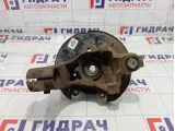 Кулак поворотный задний левый Land Rover Freelander 2 LR006963