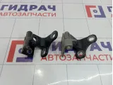 Петли двери задней левой Land Rover Range Rover (L322)