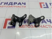 Петли двери задней левой Land Rover Range Rover (L322)