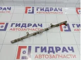 Рейка топливная (рампа) Land Rover Range Rover (L322) 4743607