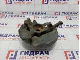 Кулак поворотный передний левый Land Rover Range Rover (L322) RUB500151
