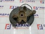 Кулак поворотный задний правый Land Rover Range Rover (L322) RLH000060