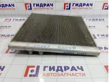Радиатор основной Land Rover Range Rover (L322) PCC500670