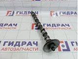 Распредвал впускной Land Rover Range Rover (L322) LR009438