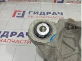 Кулак поворотный задний правый Range Rover Evoque LR024482