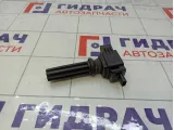 Катушка зажигания Range Rover Evoque LR030637