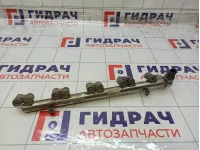 Топливная рампа (топливная рейка) Range Rover Evoque LR025853