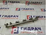 Топливная рампа (топливная рейка) Range Rover Evoque LR025853