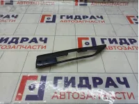 Молдинг крыши Range Rover Evoque BJ3M517D79GA