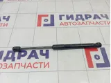 Амортизатор капота Land Rover Range Rover Sport CK5216C826AC
