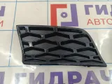 Решетка в бампер левая Land Rover Range Rover (L322) DXB500350