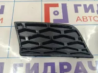 Решетка в бампер левая Land Rover Range Rover (L322) DXB500350