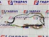 Проводка крышки багажника Lexus GS450h (L10) 82181-30330