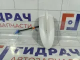 Антенна Lexus GS 8676030220A