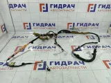 Проводка двери багажника Lexus GS 8218130320