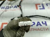 Проводка двери багажника Lexus GS 8218130320