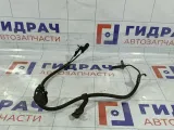 Датчик ABS передний правый Lexus GS 8954230310