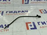 Форсунка омывателя стекла Lexus GS 8538130220