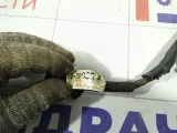 Проводка на топливные форсунки Lexus GS 8212830030