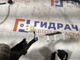 Проводка подкапотная Lexus GS 8211230G60