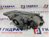 Фара левая Lexus IS 8117053030