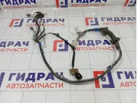 Проводка двери передней левой Lexus IS 8215253063