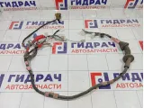 Проводка двери передней правой Lexus IS 8215153063