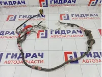 Проводка двери передней правой Lexus IS 8215153063