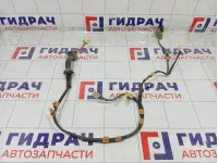 Проводка двери задней правой Lexus IS 8215353020