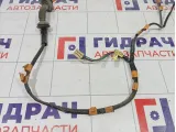 Проводка двери задней правой Lexus IS 8215353020