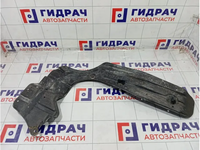 Защита антигравийная Lexus IS 5831253012