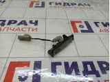 Фонарь подсветки номера Lexus IS 8127130290