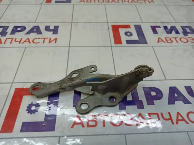 Петля капота левая Lexus IS 5342053010