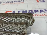 Решетка радиатора Lexus IS 5310153040